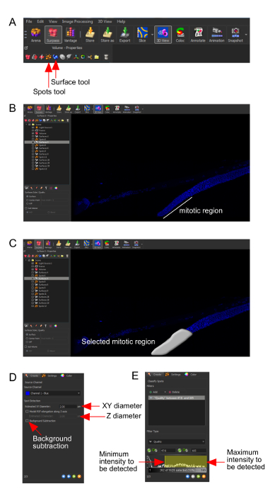 Supplementary Figure 1