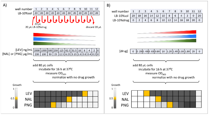 Figure 7