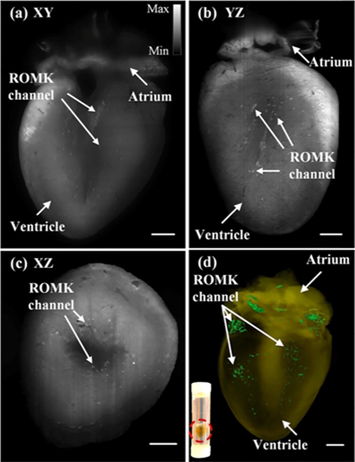 Figure 5