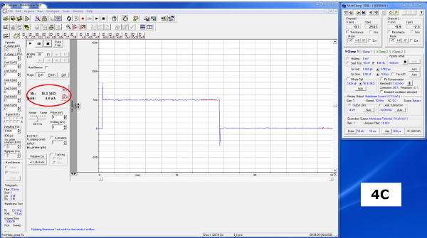 Figure 4C