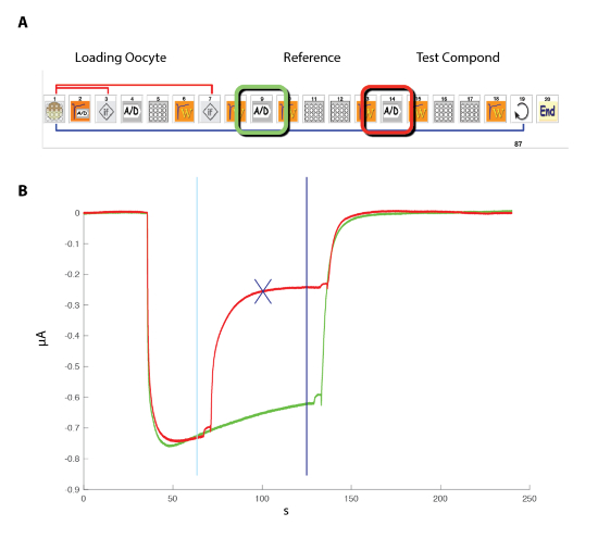 Figure 11