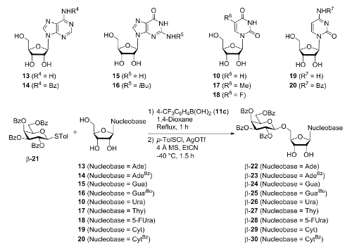 Figure of Table 2