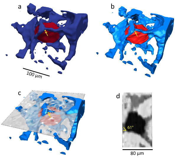 Figure 9