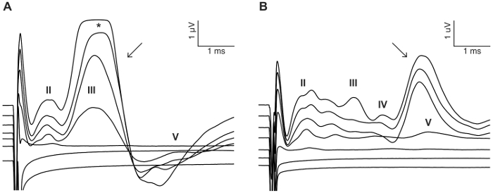 Figure 8