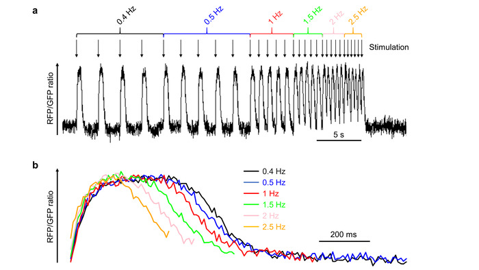 Figure 5