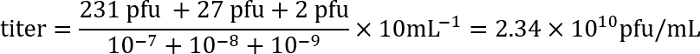 Equation 2