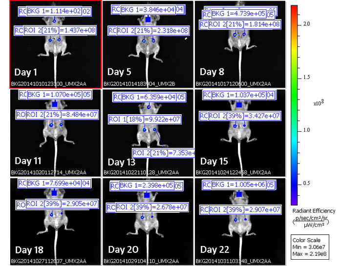 Figure 6