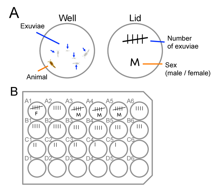 Figure 7