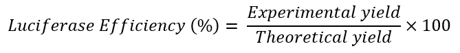 Equation 3