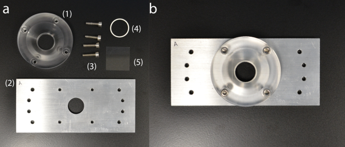 Figure 5