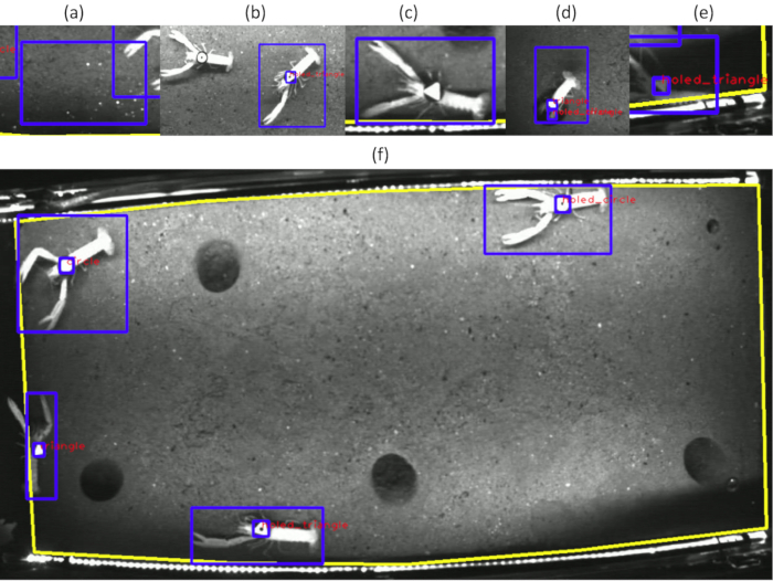 Figure 6