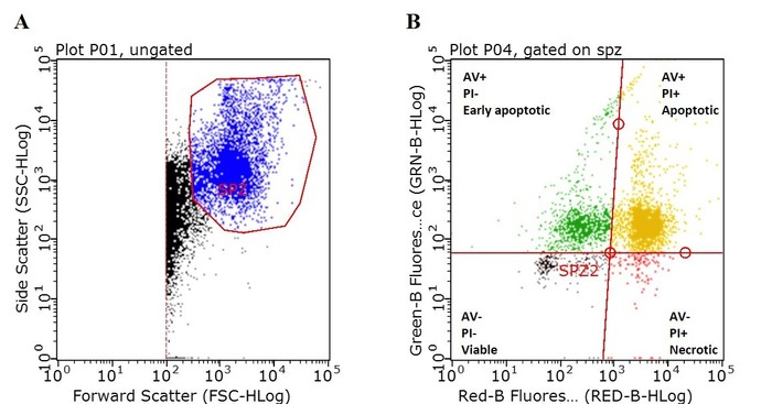 Figure 5