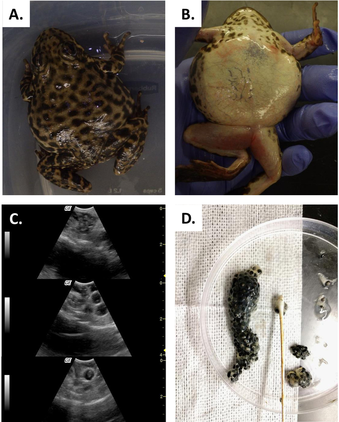 Figure 14