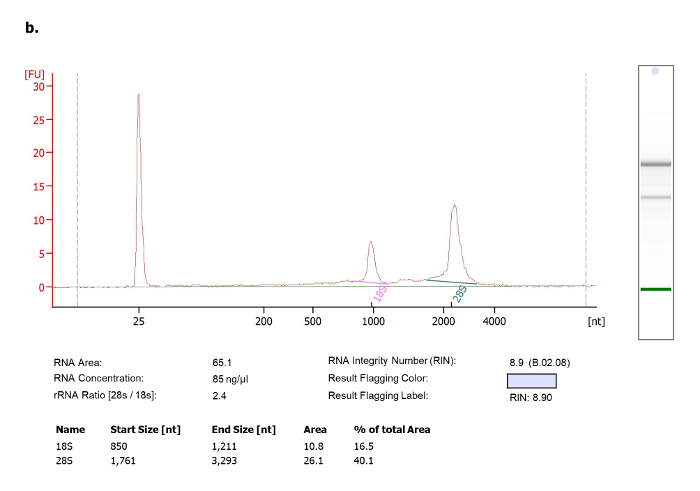 Figure 1b