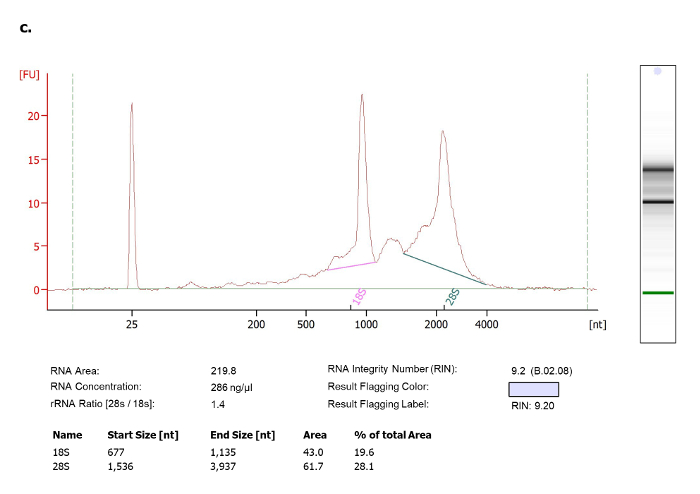 Figure 1c