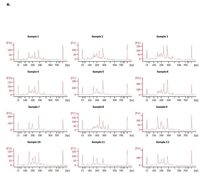 Figure 1e