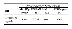 Table 4