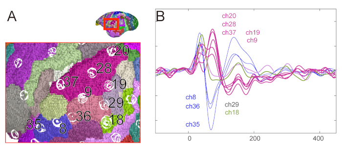 Figure 4