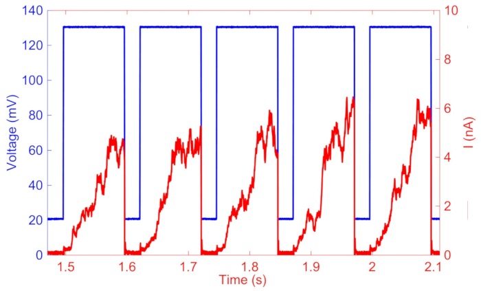 Figure 6