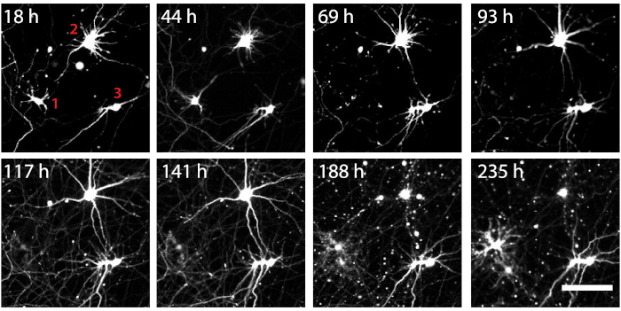 Figure 3