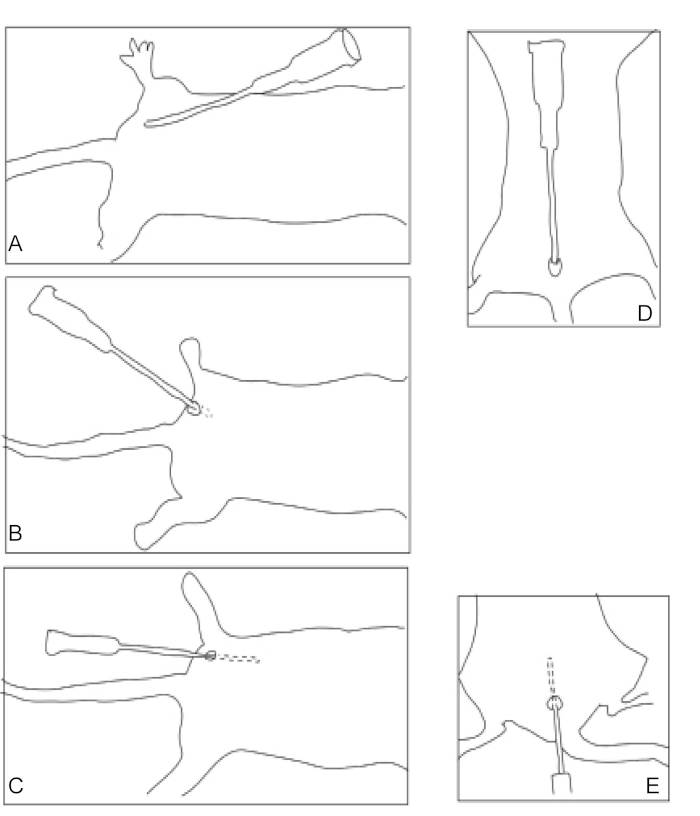 Supplemental Figure 1