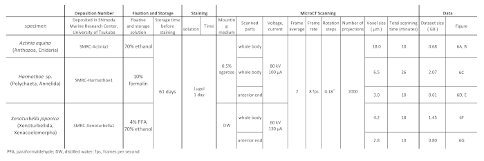 Table 1