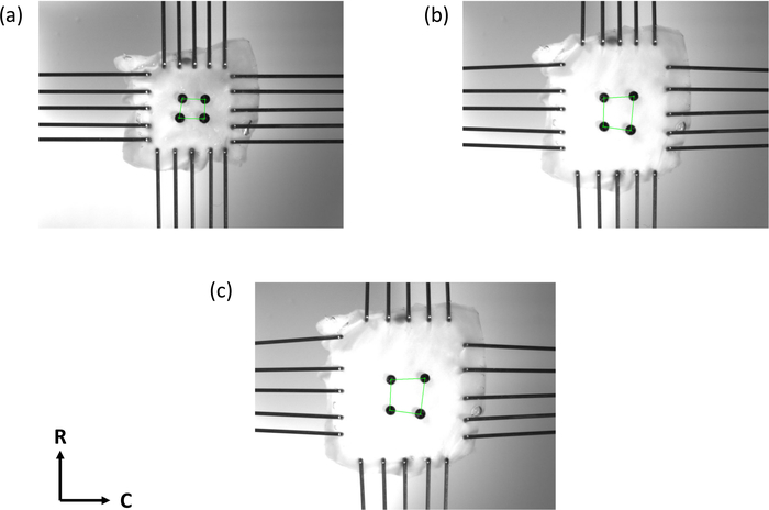 Figure 11