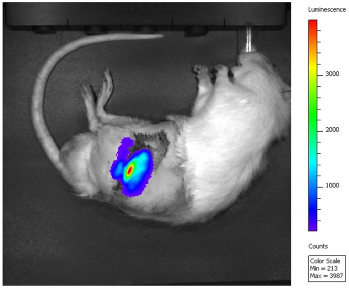 Figure 6