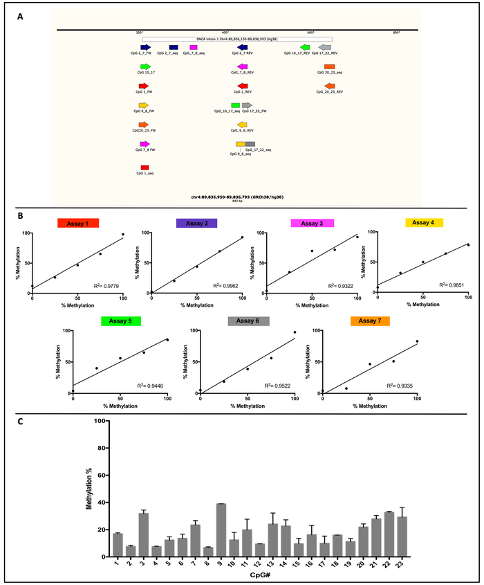 Figure 7