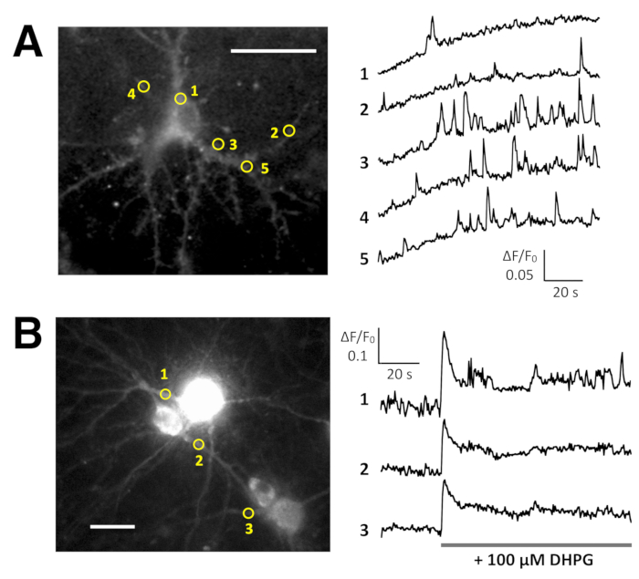 Figure 5