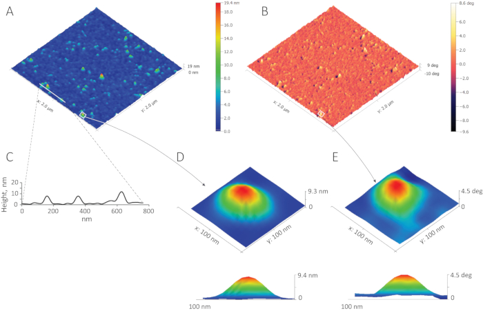 Figure 11