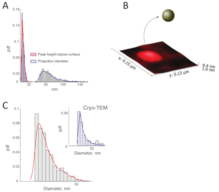 Figure 12