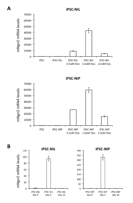 Supplementary Figure 4