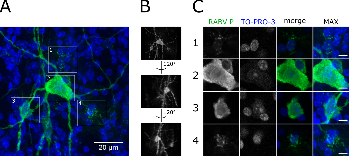 Figure 4