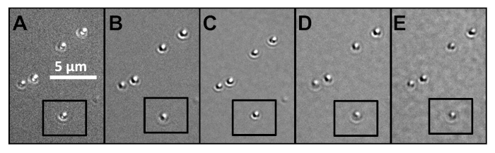 Figure 5