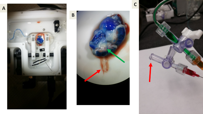 Figure 5