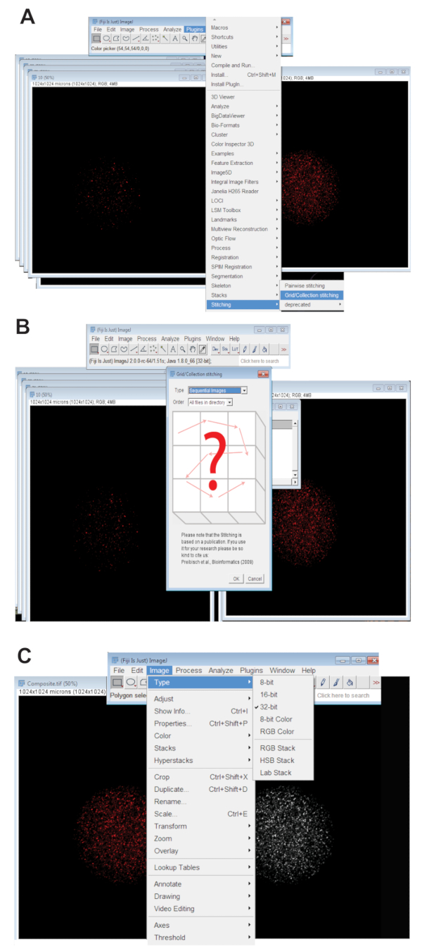 Figure 3