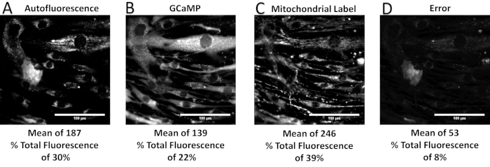 Figure 7