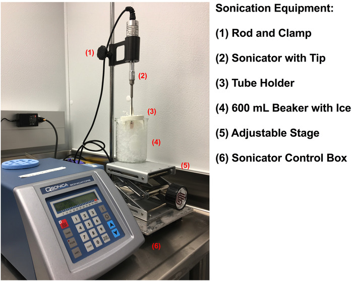 Figure 2