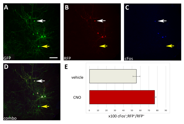 Figure 4