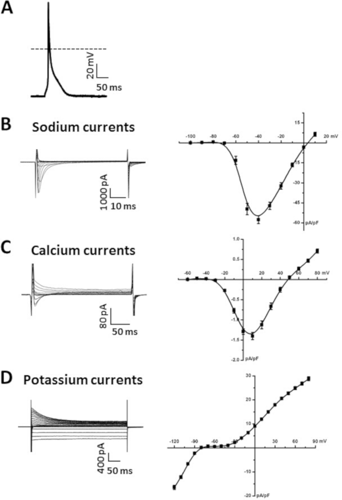 Figure 5