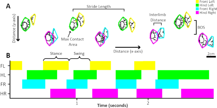 Figure 5