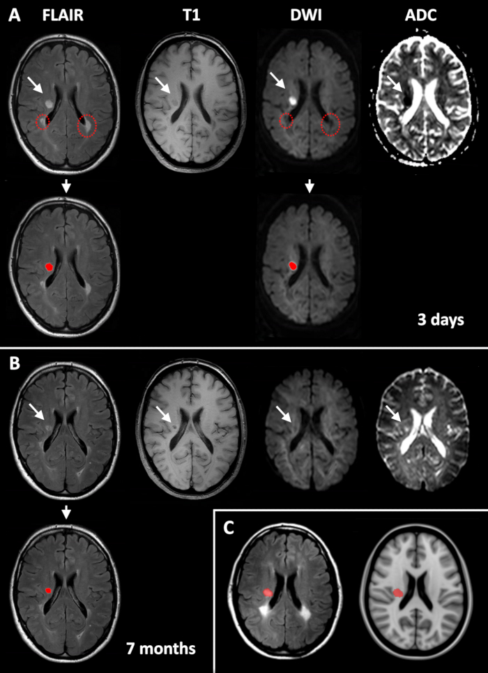 Figure 6