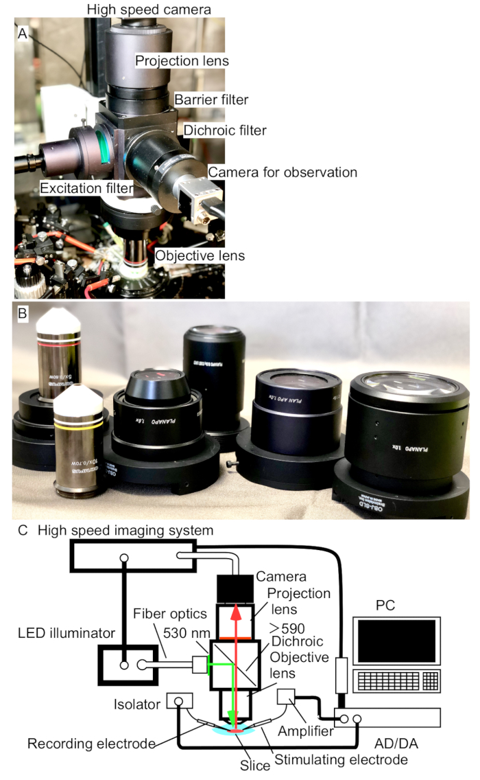 Figure 4