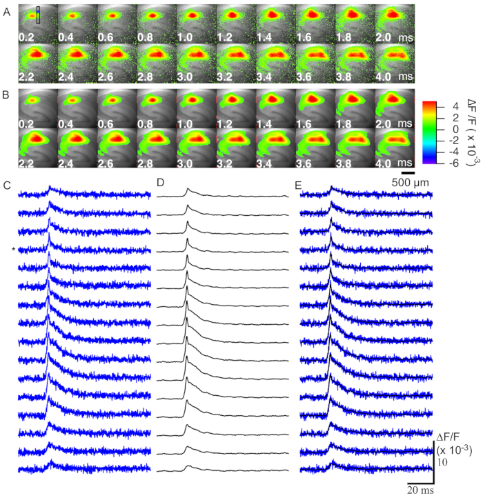 Figure 5