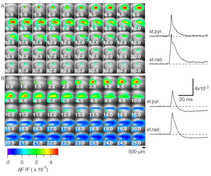 Figure 6