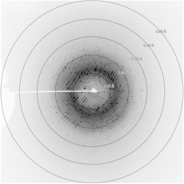 Figure 5