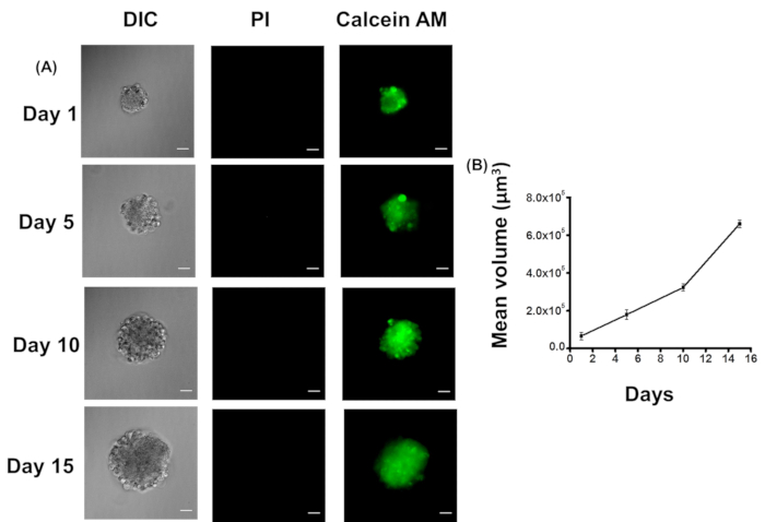 Figure 10