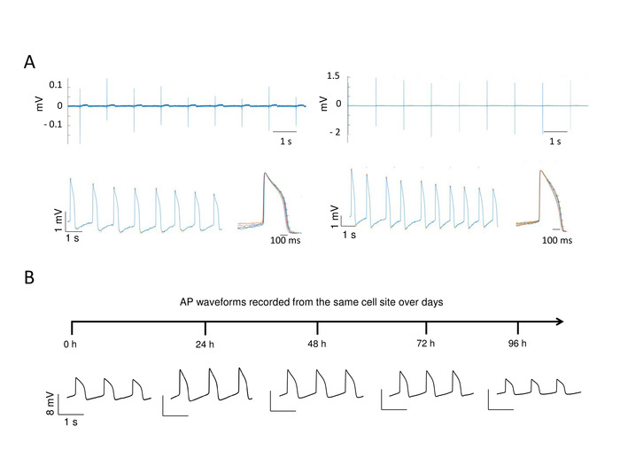 Figure 11