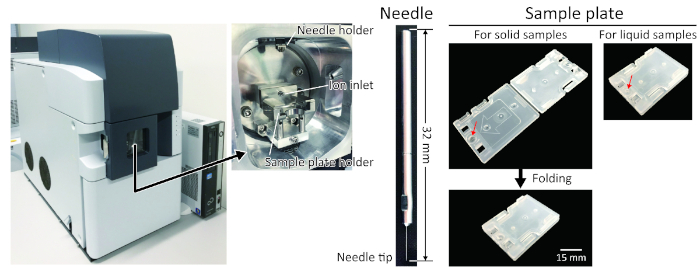 Figure 2